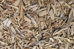 biomass boilers Wester Arboll